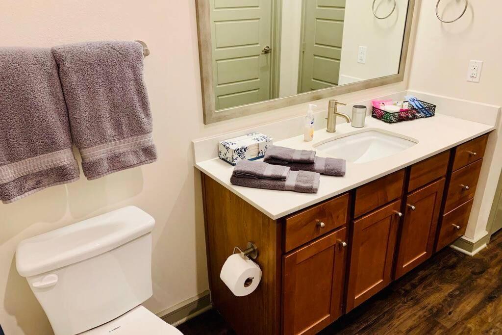 Apartamento New Apart Downtown - 5Min Stadium/Parks/Museum Houston Exterior foto